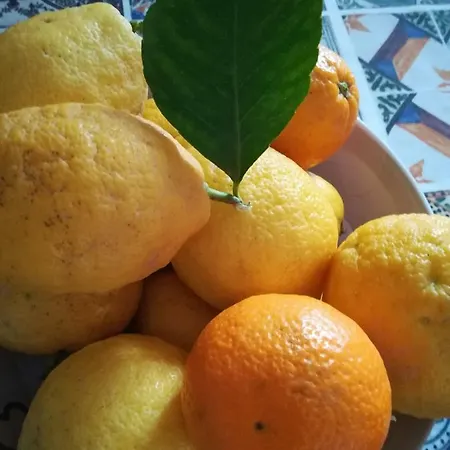 La Spiaggetta Di Stazzo Bed & Breakfast *
